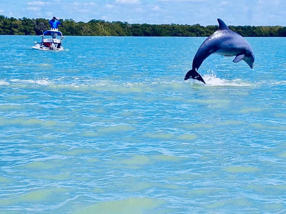 a group of people swimming in a body of water