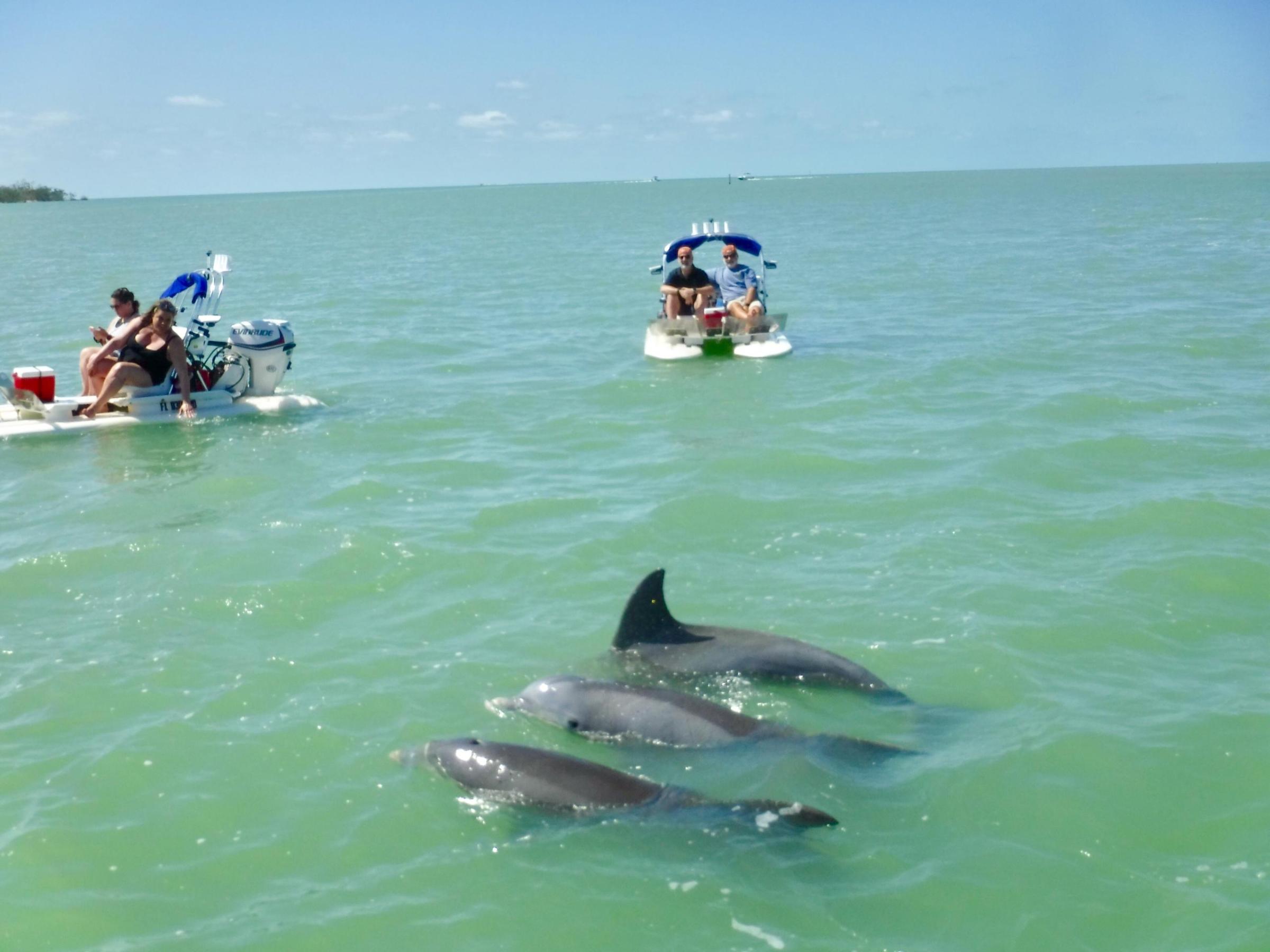 a group of people swimming in a body of water