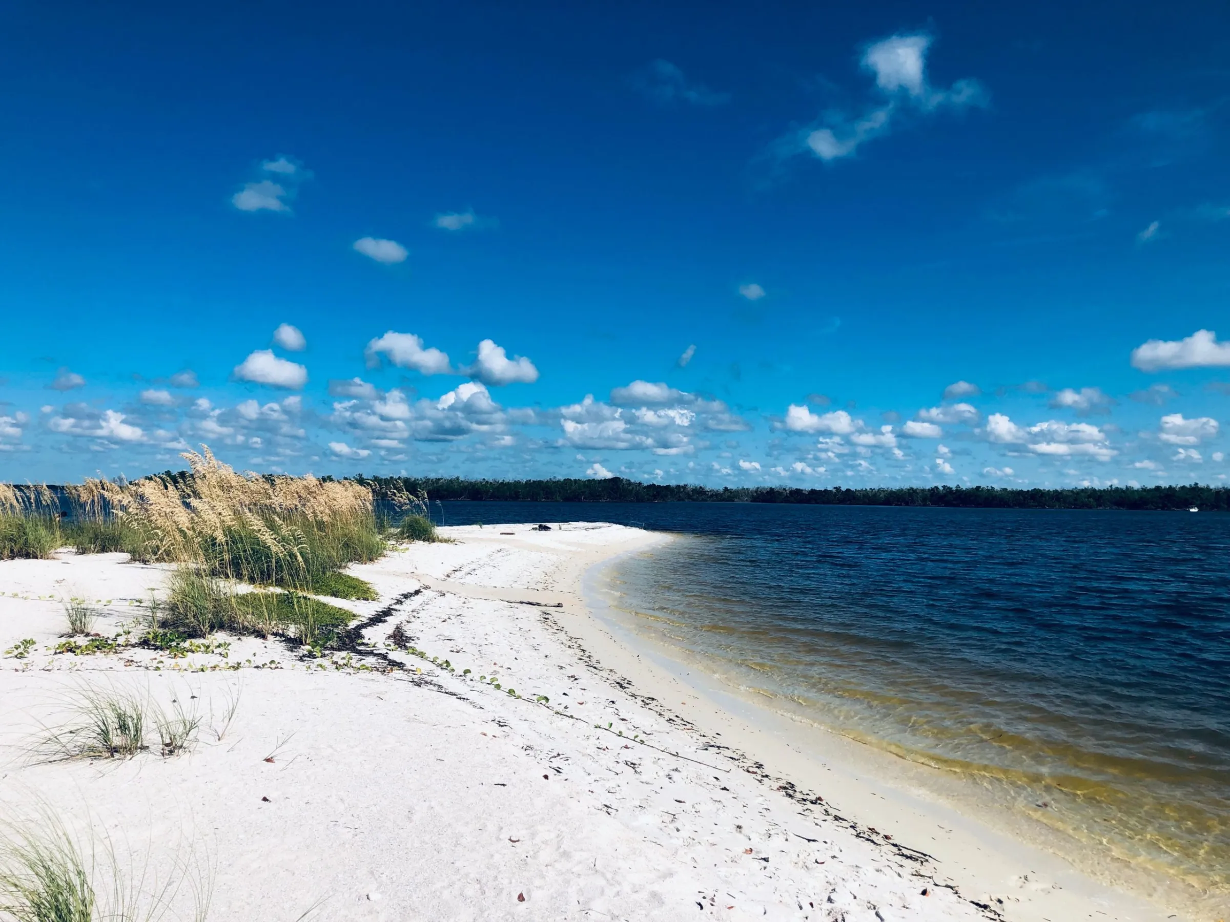 a sandy beach next to a body of water
