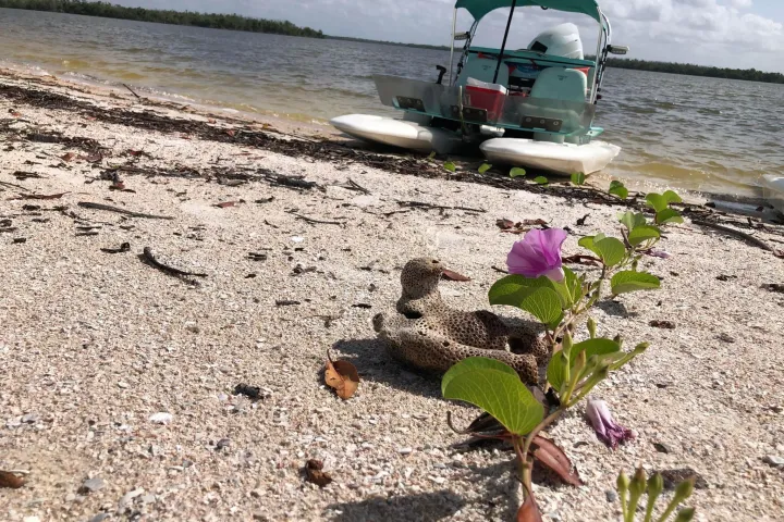 a boat sitting on top of a sandy beach